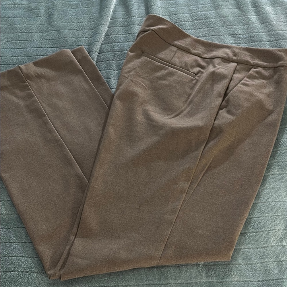 Ladies Brown Pants